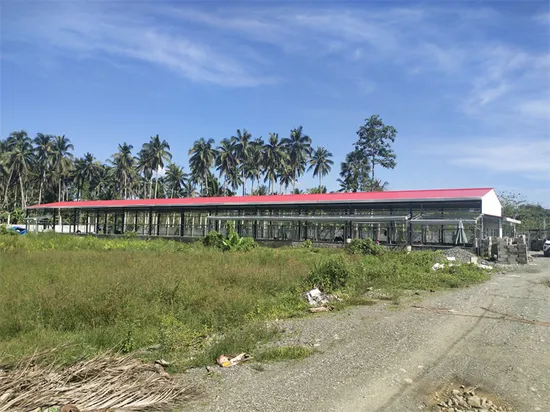 Prefab/Prefabricated Galvanized Metal Frame Sandwich Panel Poultry Farm Building Steel Structure Shed Chicken House for Pig/Cow/Goat/Broiler/Breeder/Layer/Egg